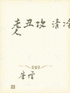 老丑攻 清冷美人封面