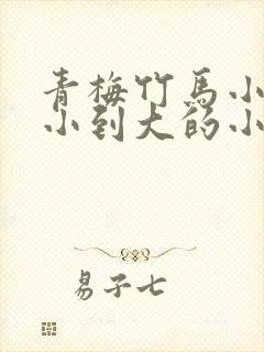 青梅竹马小说从小到大的小说封面