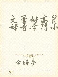 文笔好高质量超好看冷门小说封面