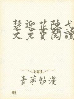 楚迎芷陈弋泽全文免费阅读最新章节