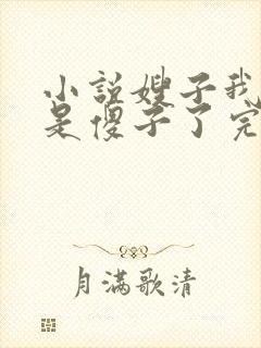 小说嫂子我真不是傻子了完本免费阅读封面