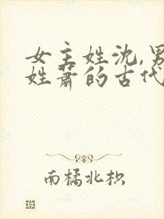 女主姓沈,男主姓萧的古代重生小说