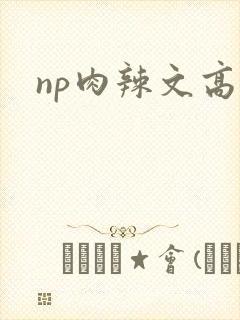 np肉辣文高h