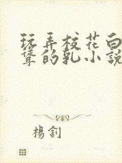 玩弄校花白嫩高耸的乳小说