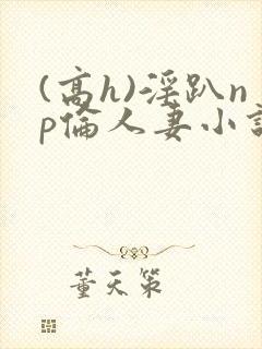(高h)淫趴np伦人妻小说