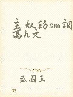 主奴的sm调教高h文