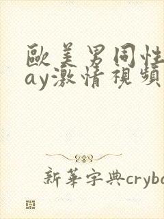 欧美男同性恋gay激情视频