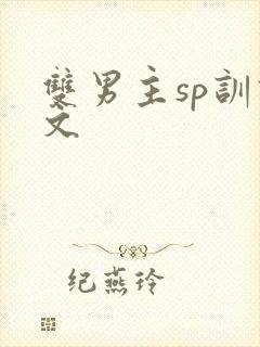 双男主sp训诫文