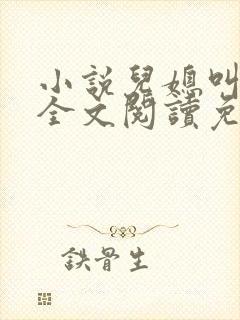 小说儿媳叫芷晴全文阅读免费