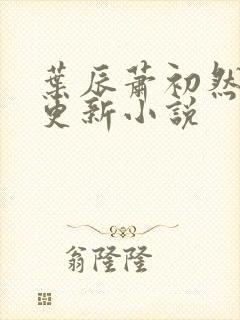叶辰萧初然最快更新小说