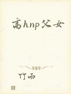 高hnp父女