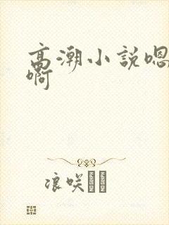 高潮小说嗯啊嗯啊封面