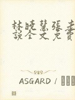 林晓慧张老头小说全文免费阅读最新