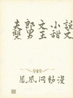 夫郎文小说推荐双男主甜文