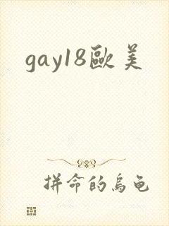 gay18欧美