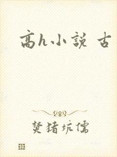 高h小说 古言
