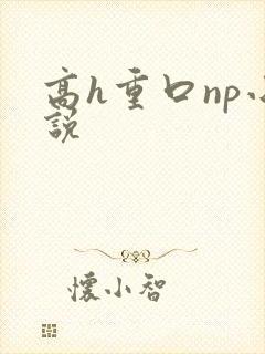 高h重口np小说