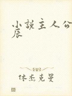 小说主人公叫林辰封面