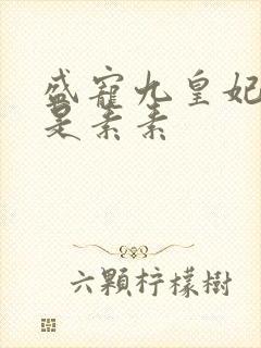 盛宠九皇妃 我是素素