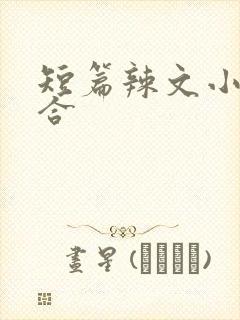 短篇辣文小说集合