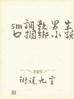 sm调教男生重口捆绑小说