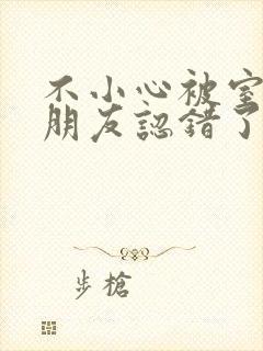 不小心被室友男朋友认错了宁笑阿温封面