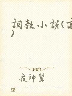调教小说(高h)封面
