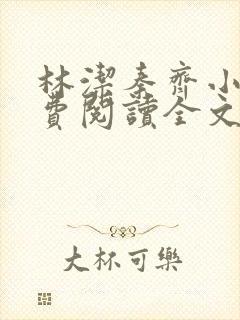 林洁秦齐小说免费阅读全文最新章节