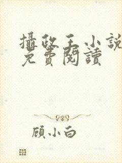 摄政王小说全文免费阅读封面