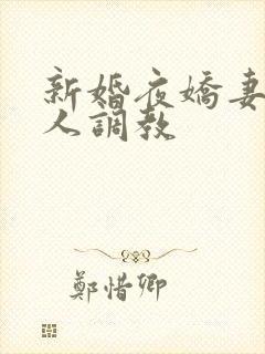 新婚夜娇妻被多人调教封面