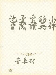 沈青云的小说免费阅读无弹窗全文最新章节