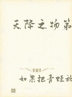 天降之物第一季封面