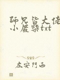 师兄皆大佬唯我小废柴txt