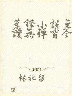 叶锋小说免费阅读无弹窗全文