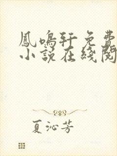 凤鸣轩免费言情小说在线阅读