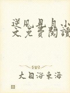 逆风见月小说全文免费阅读无弹窗封面