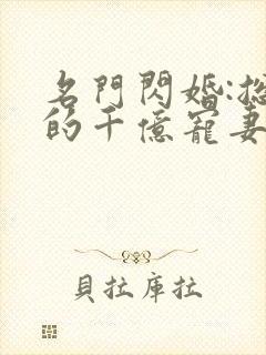 名门闪婚:总裁的千亿宠妻