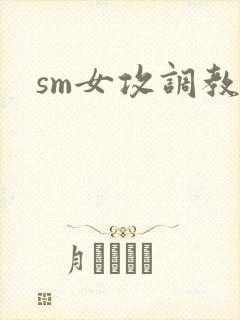 sm女攻调教文