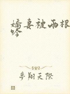 娇妻被两根进呻吟封面