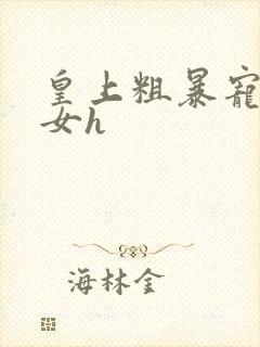 皇上粗暴宠幸宫女h封面