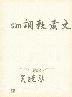 sm调教黄文封面