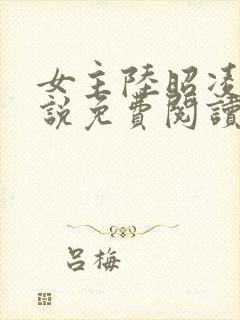 女主陆昭凌的小说免费阅读封面