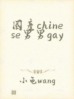 国产chinese男男gay封面