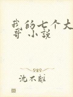 我的七个大佬哥哥 小说封面