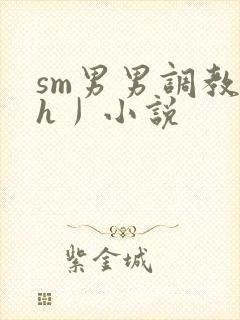 sm男男调教〈h丿小说