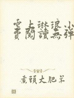 云上琳琅小说免费阅读无弹窗封面