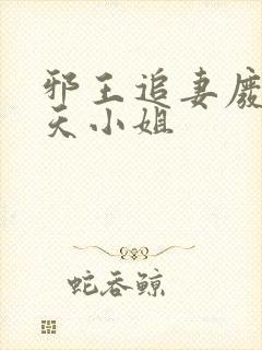 邪王追妻废材逆天小姐