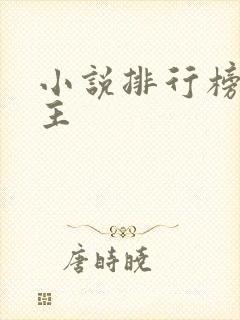 小说排行榜双男主封面