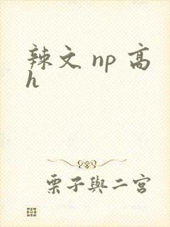 辣文 np 高h