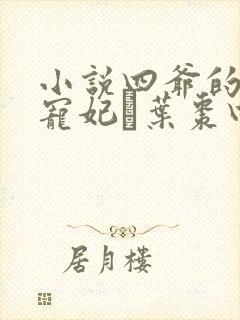 小说四爷的心尖宠妃·叶枣四爷全篇封面